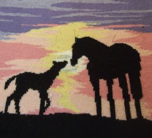 equine sunset - s