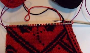 nordic rose-repositioned needles