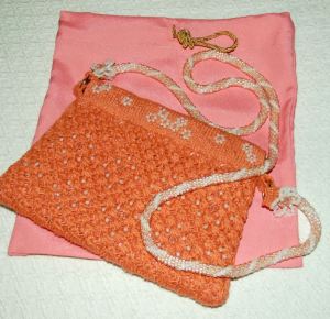 purse and cover bag
